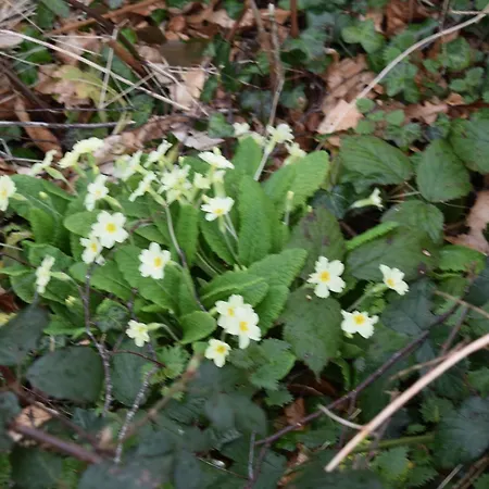 Charming 17th Century Normandy Longere In Valdalliere, Calvados *