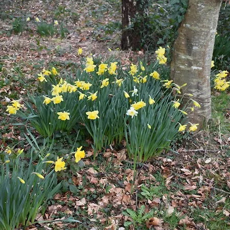 Charming 17th Century Normandy Longere In Valdalliere, Calvados