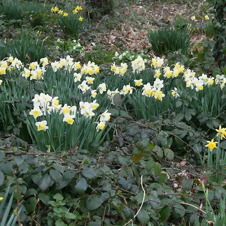 Charming 17th Century Normandy Longere In Valdalliere, Calvados *