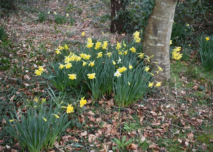 Charming 17th Century Normandy Longere In Valdalliere, Calvados