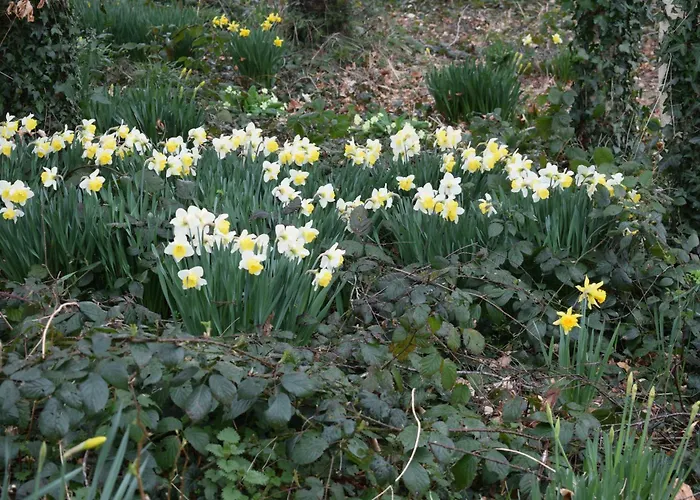 Charming 17th Century Normandy Longere In Valdalliere, Calvados *